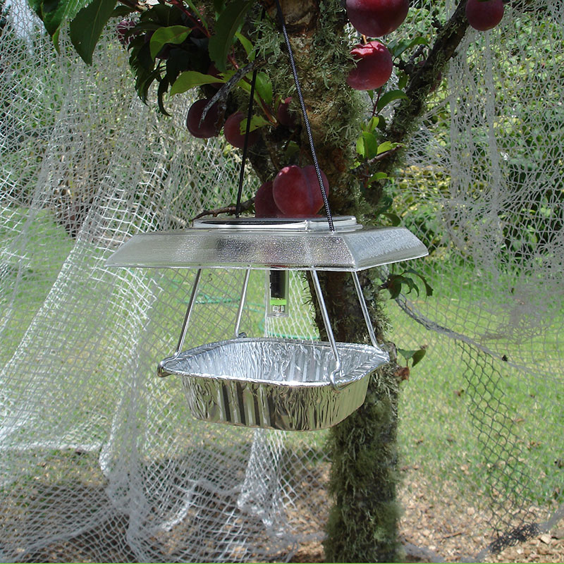 Solar Moth Trap To Get Rid Of Guava and Codling Moth No Harmful Sprays