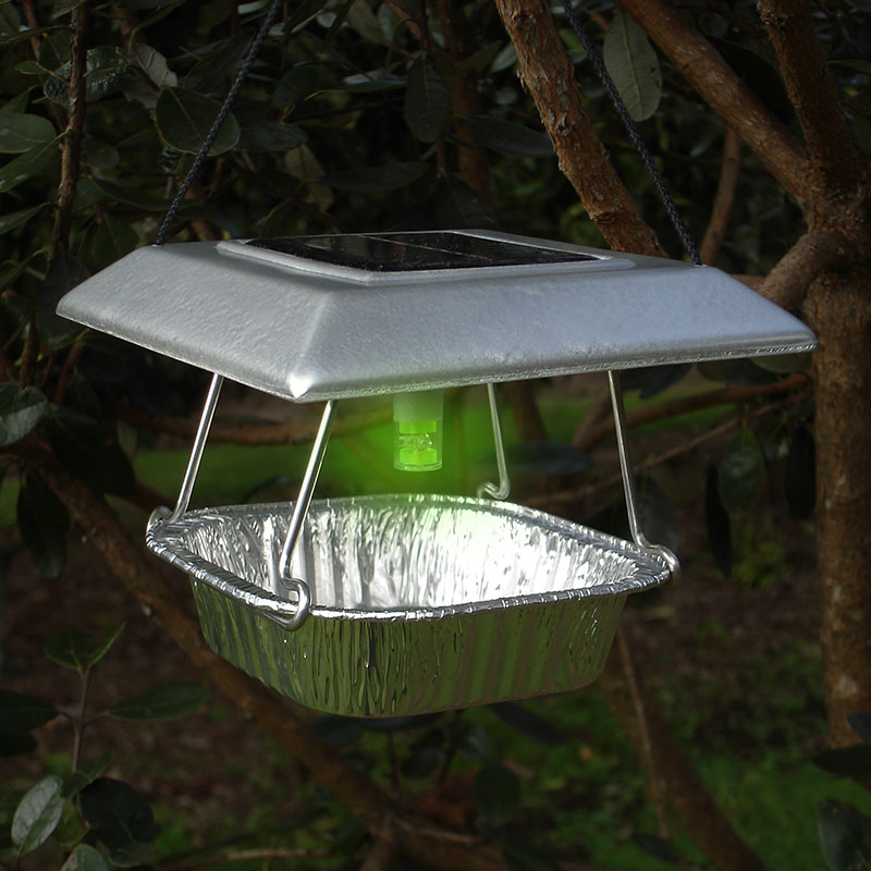 Solar Guava Moth Traps For Sale Simple, Safe & Spray Free Pest Control