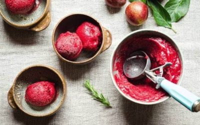Plum, Rosemary and Gin Sorbet