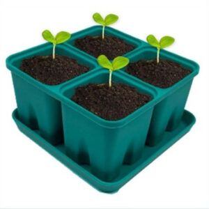 silicon seedling tray
